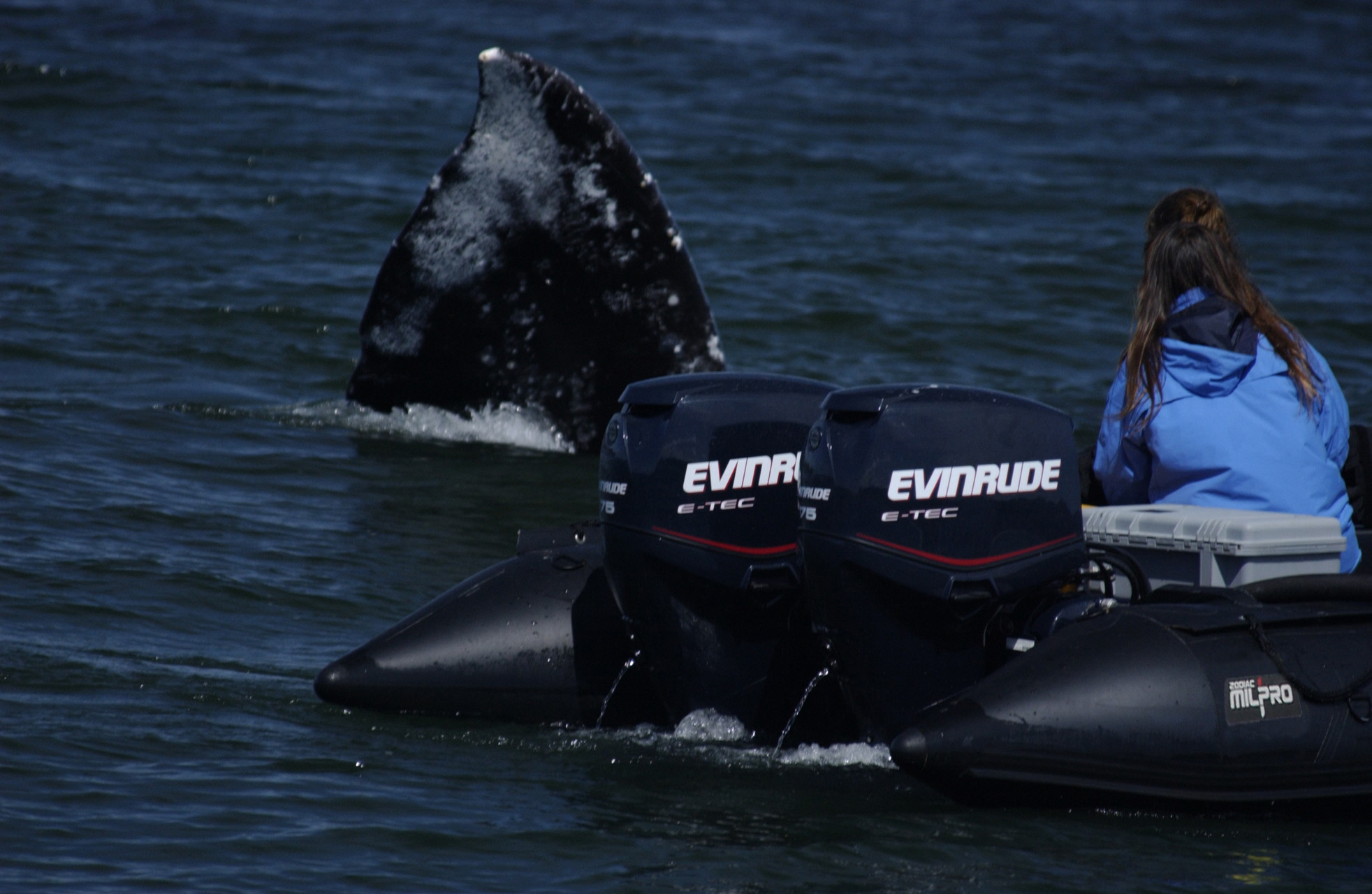 ERB (Emergency Response Boats):